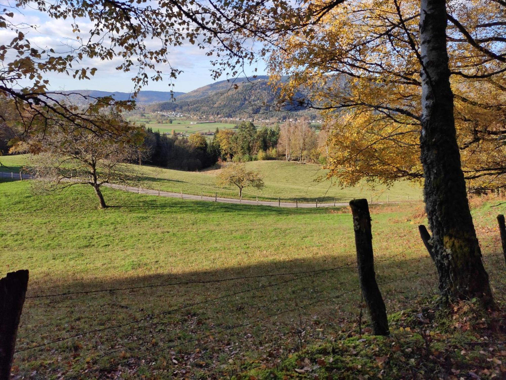 A L'Oree Du Bois Dommartin-les-Remiremont Номер фото