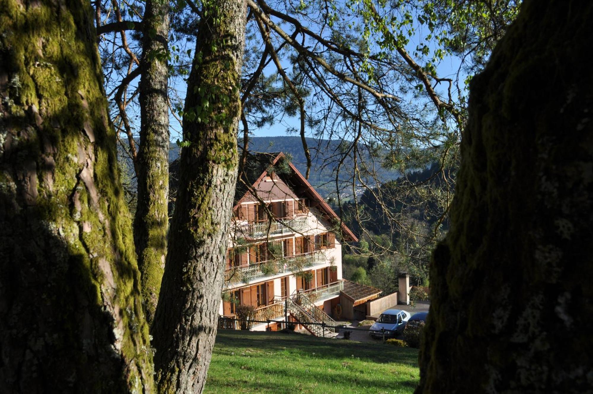 A L'Oree Du Bois Dommartin-les-Remiremont Экстерьер фото