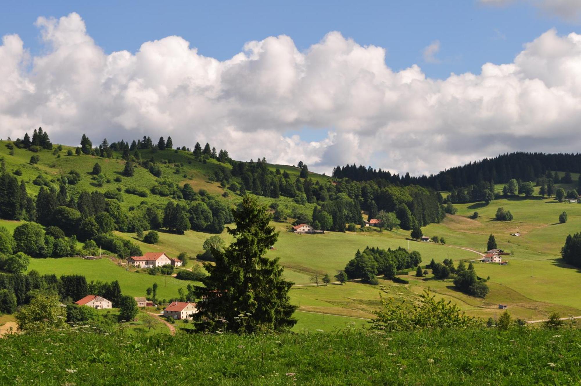 A L'Oree Du Bois Dommartin-les-Remiremont Номер фото